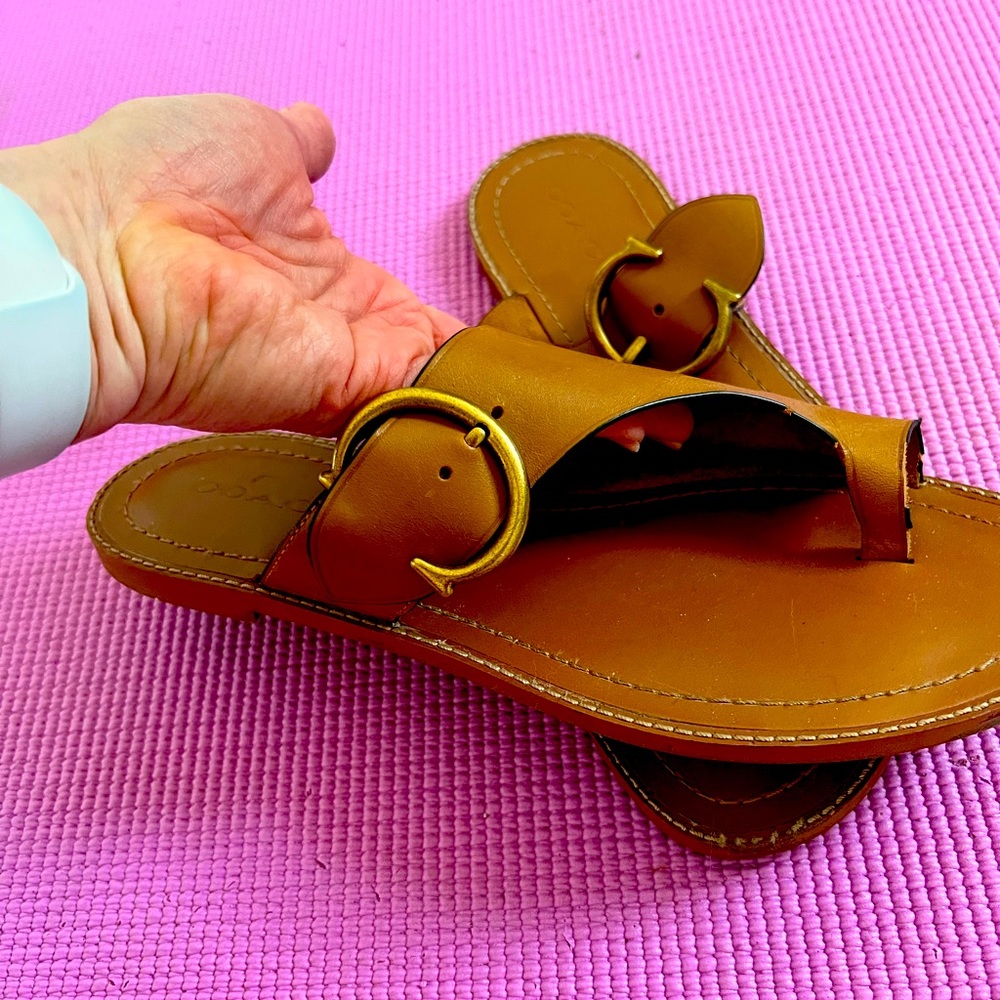 Coach Slides